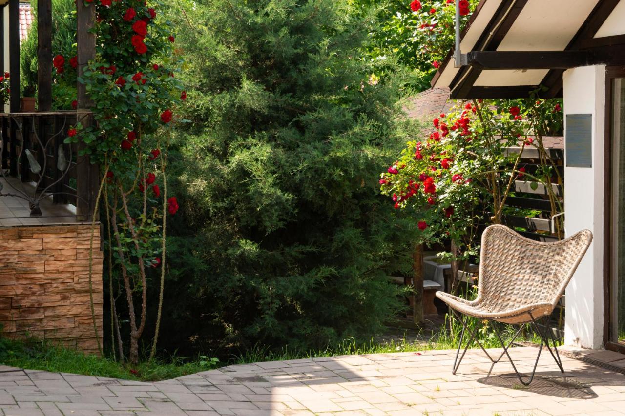 Pension Andra'S House Horezu Luaran gambar