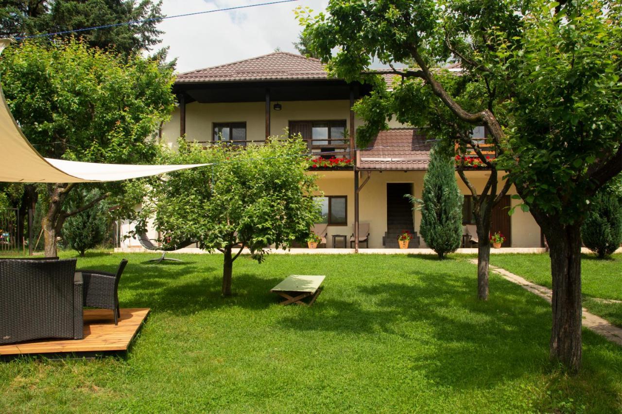 Pension Andra'S House Horezu Luaran gambar