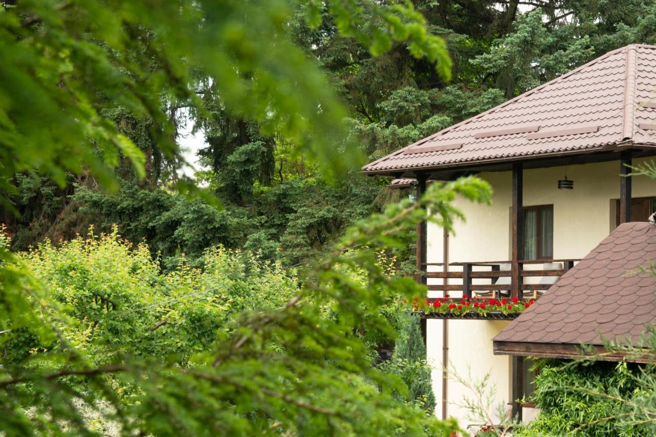 Pension Andra'S House Horezu Luaran gambar