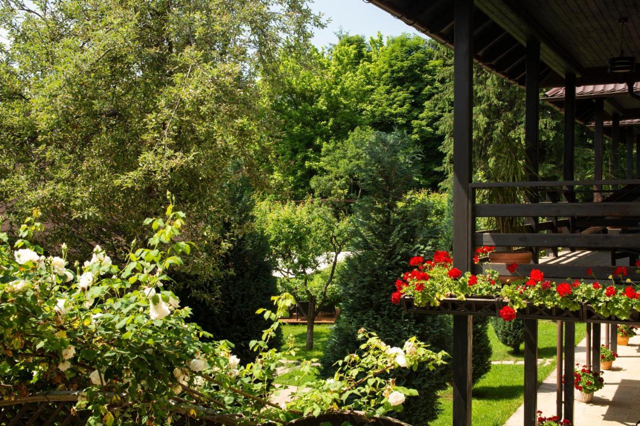 Pension Andra'S House Horezu Luaran gambar