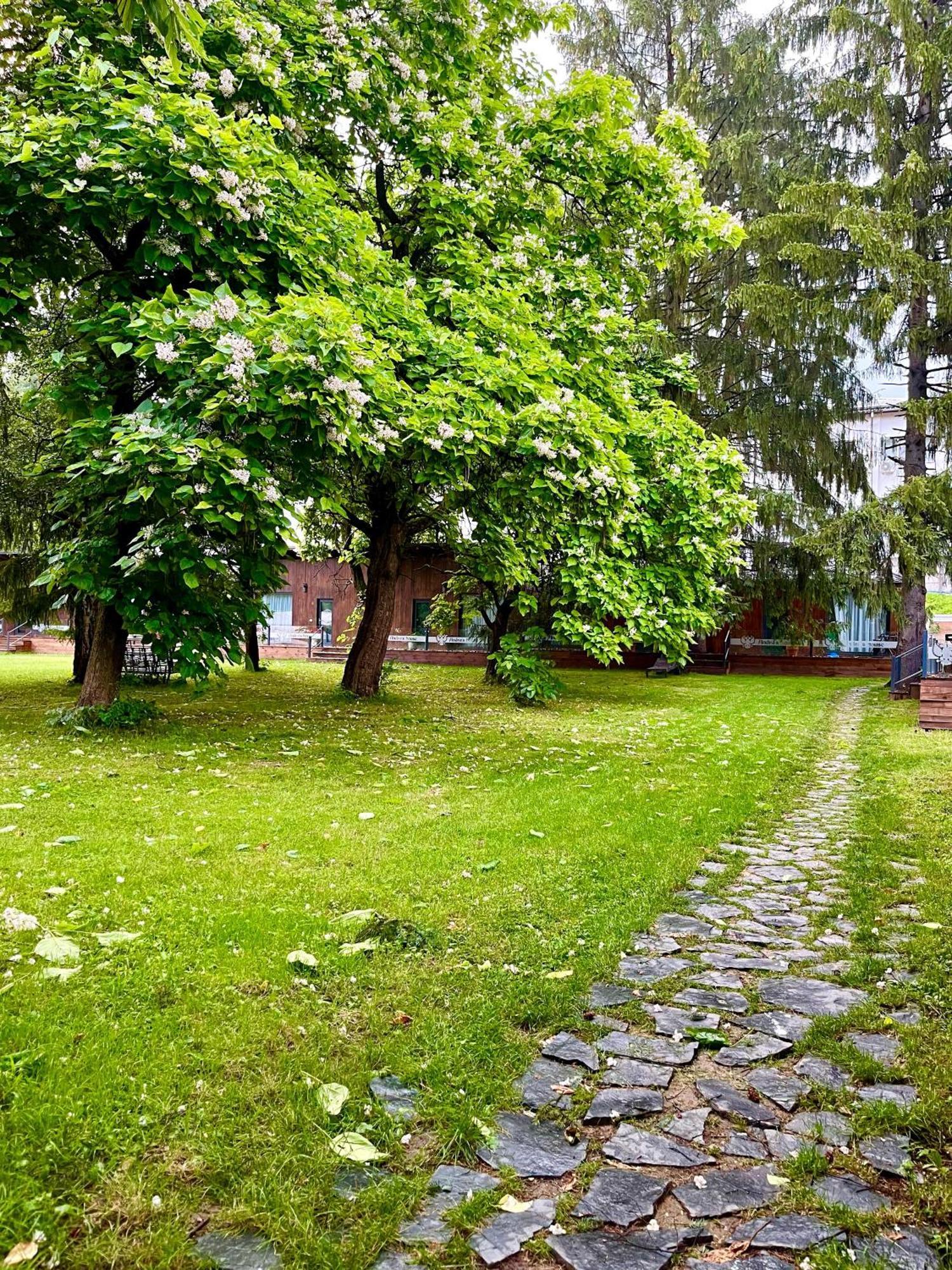 Pension Andra'S House Horezu Luaran gambar