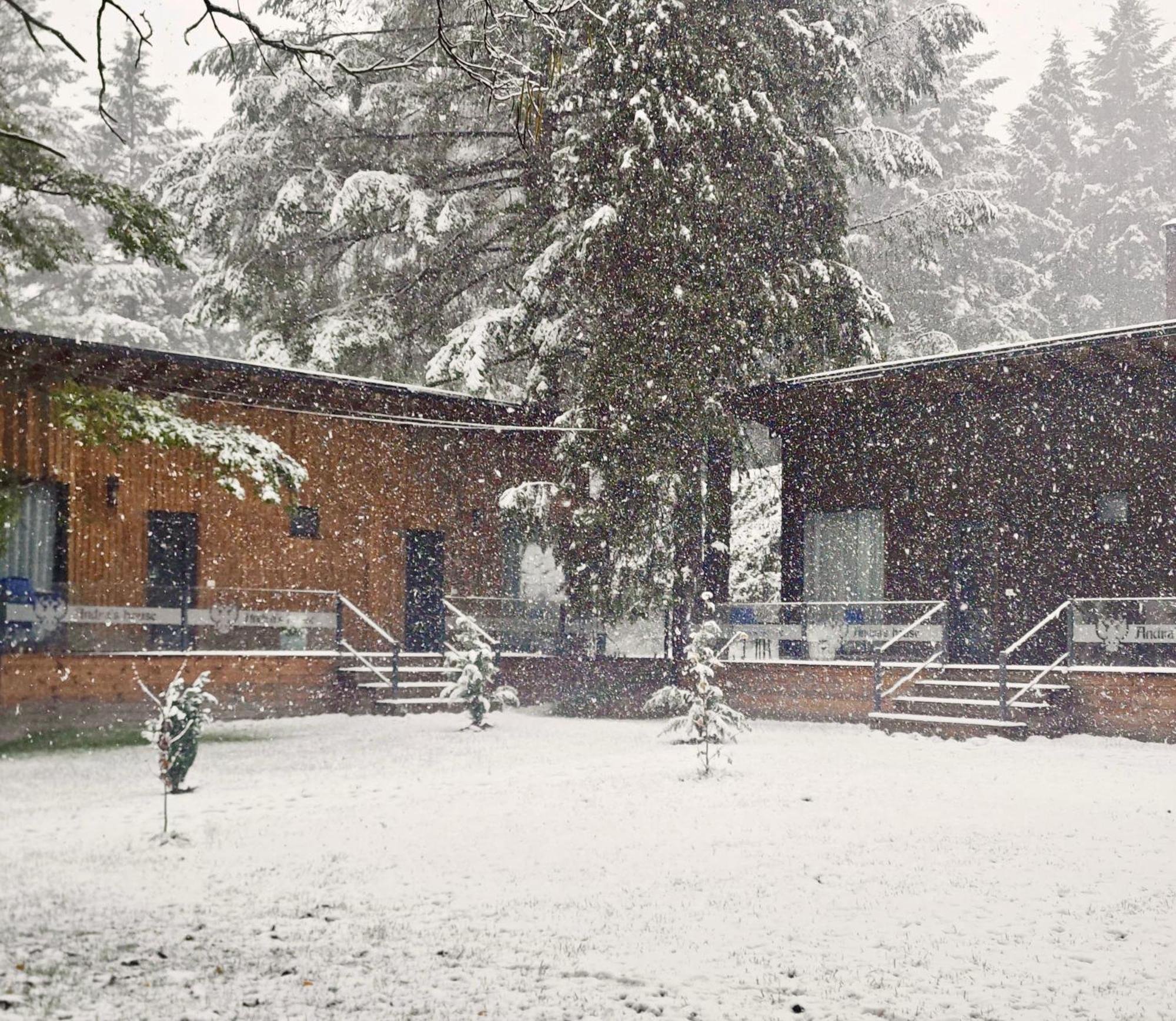 Pension Andra'S House Horezu Luaran gambar